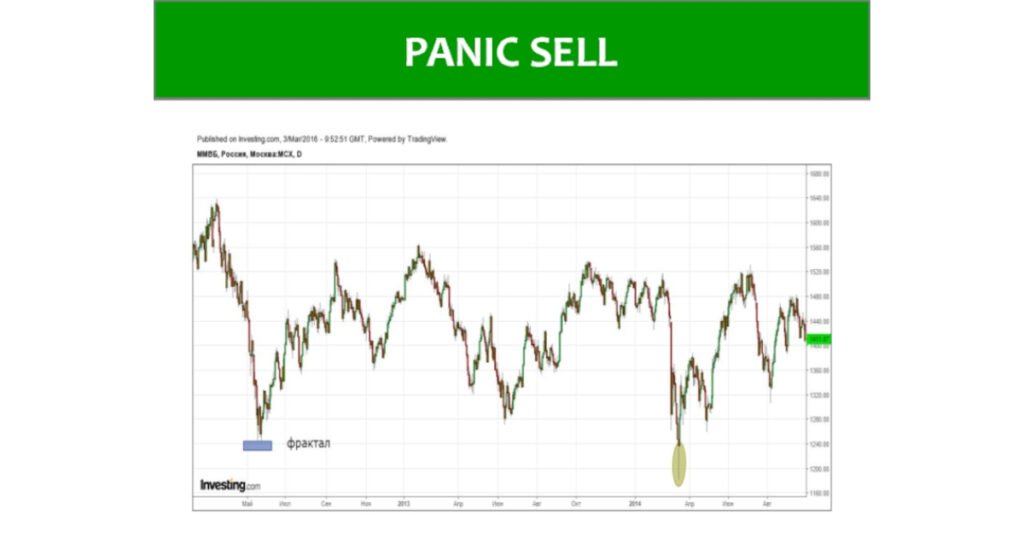 Investor Behavior: Panic Selling and Market Dynamics