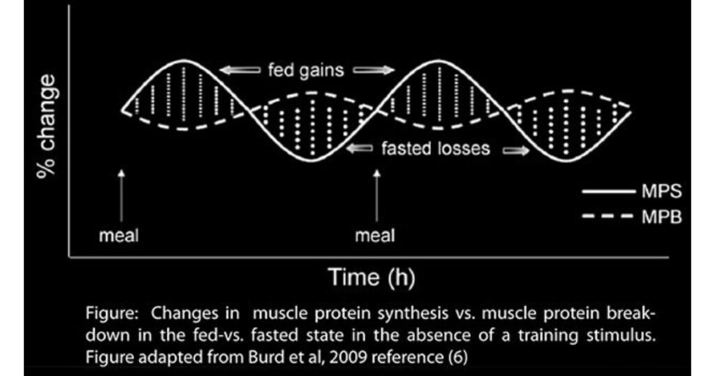 Recovery Techniques: Maximizing Muscle Growth Through Rest